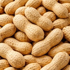 Sri Lankan Jumbo Peanuts