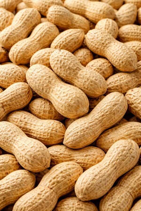 Sri Lankan Jumbo Peanuts