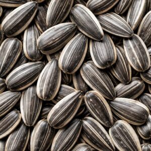 Sri Lankan Sunflower Seeds (Roasted)