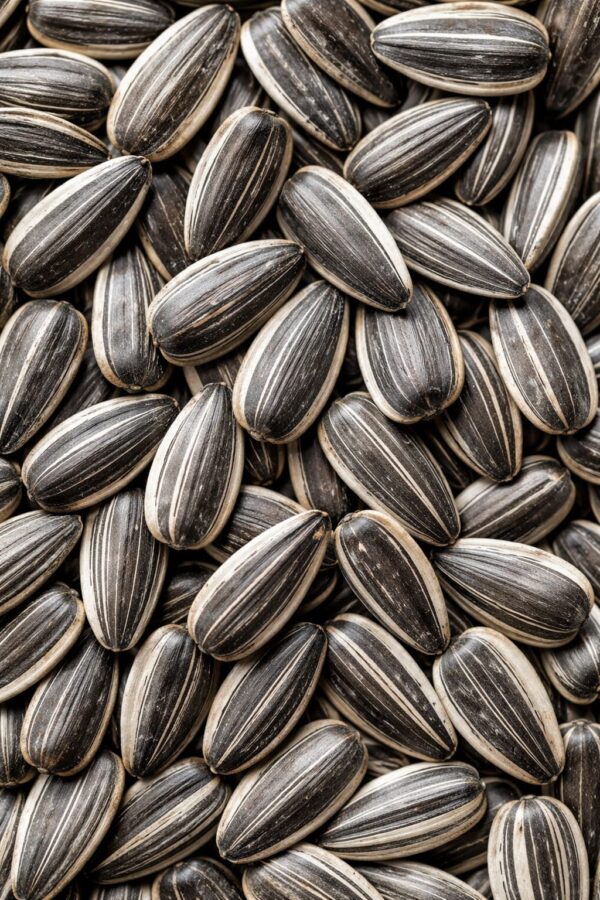 Sri Lankan Sunflower Seeds (Roasted)